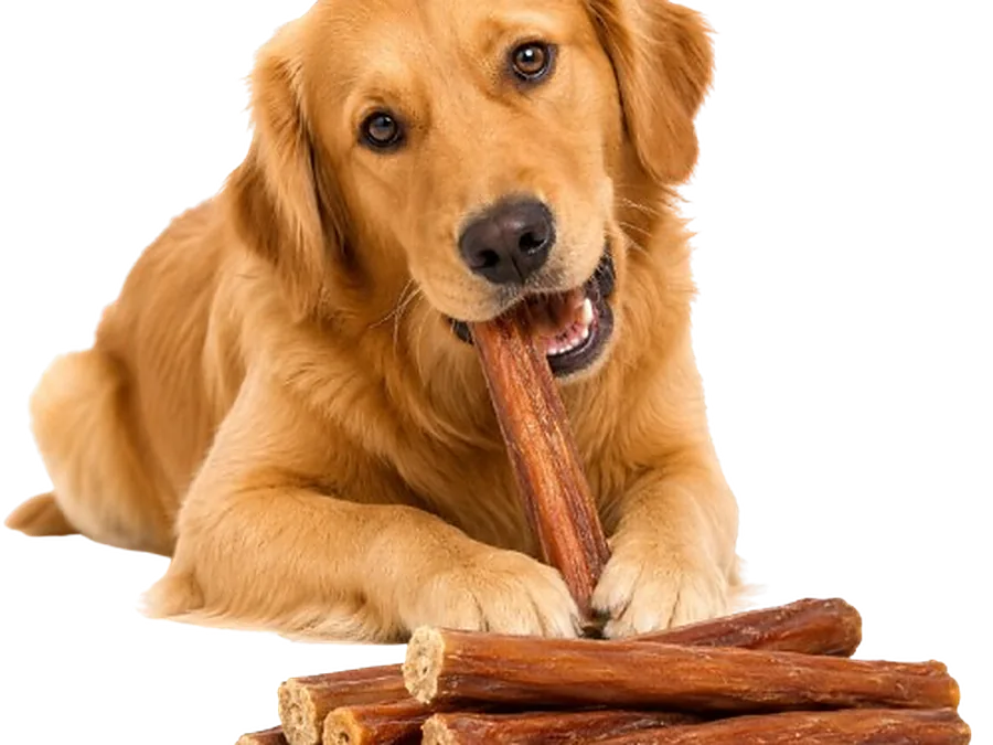 Vetlory wholesale dog treat and chew range