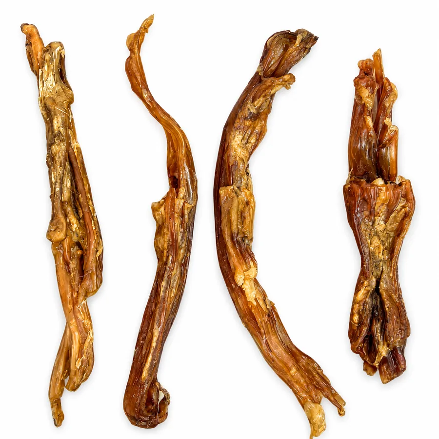 Achilles Tendon Chews