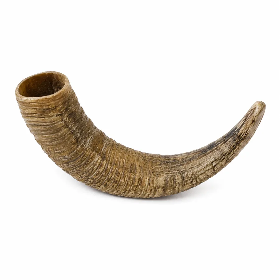 Sheep Horn Chews
