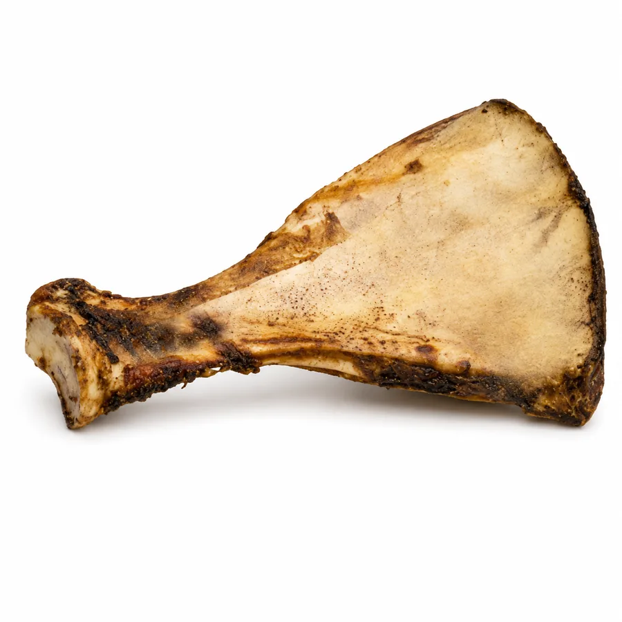 Shoulder Bones