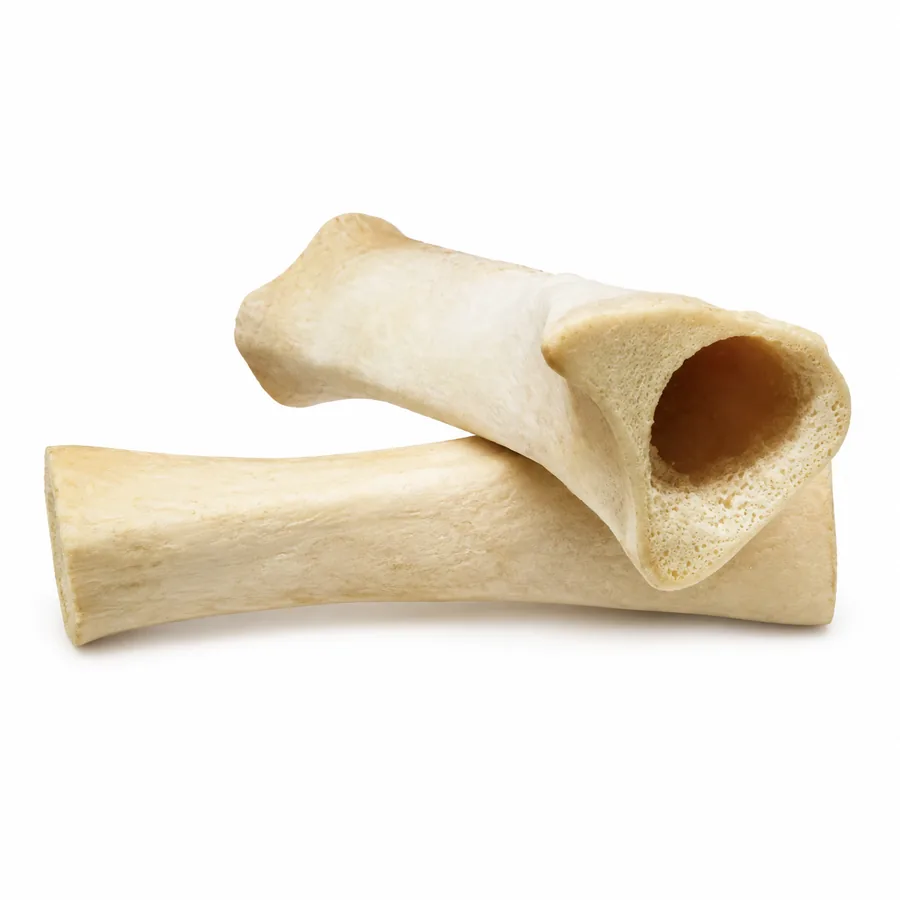 Tibia Bones